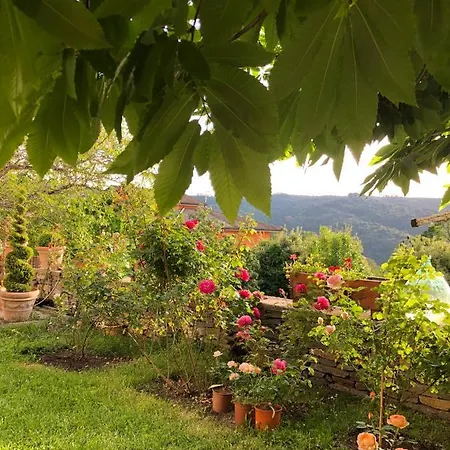 La Capannina Hotel