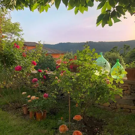 Hotel La Capannina 3*