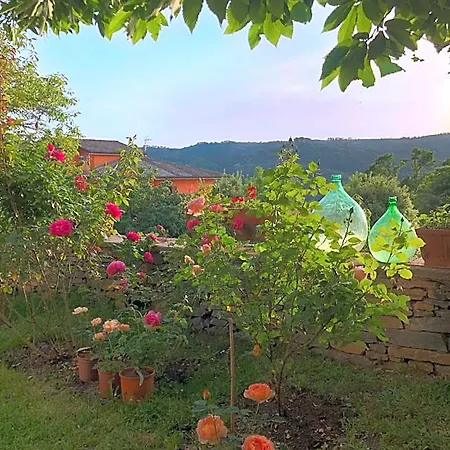 La Capannina
