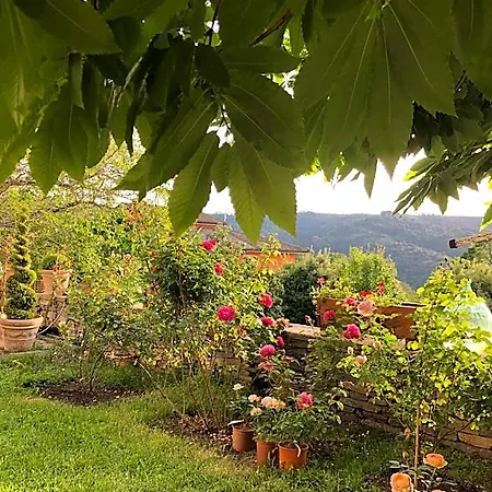 Hotel La Capannina Aritzo